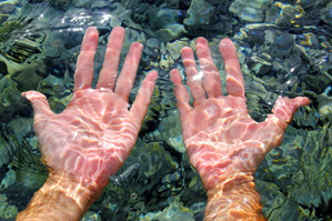 thumbimg