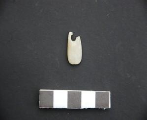 thumbimg
