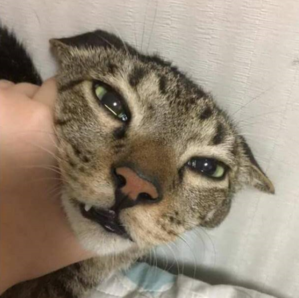thumbimg