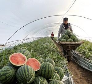 thumbimg