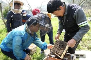 thumbimg