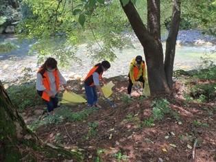 thumbimg