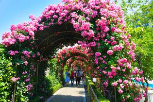 thumbimg