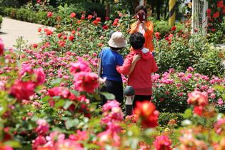 thumbimg
