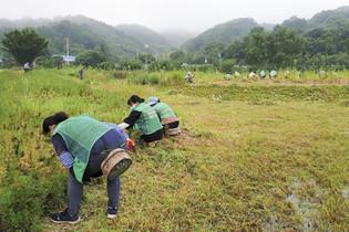 thumbimg