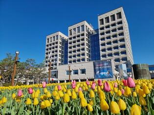 thumbimg