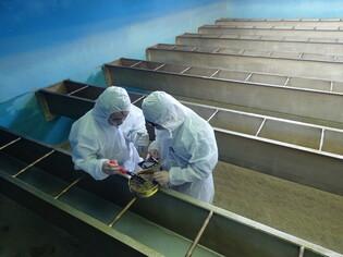 thumbimg