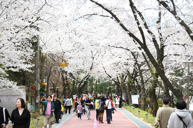 [로컬거버넌스] 경기 부천시, ‘부천 페스타-봄’ 활짝