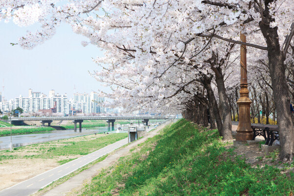 [로컬거버넌스] 서울시, ‘서울둘레길’ 21개 코스 전구간 합동 점검