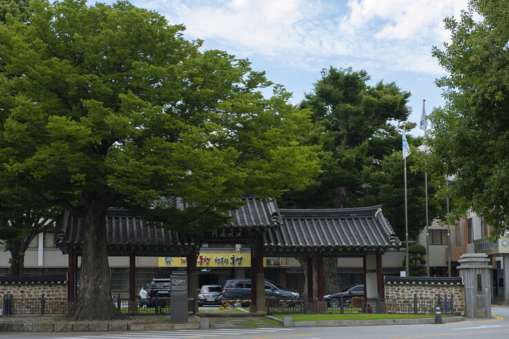 홍성군, 옛 홍고통 거리 '안...