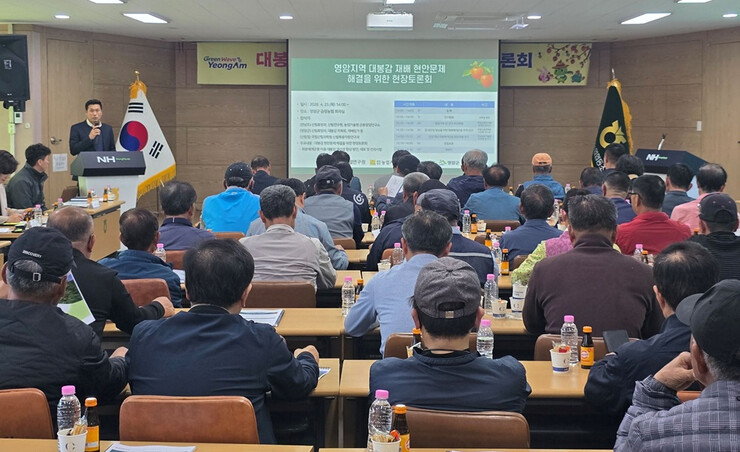 영암군, ‘대봉감 결실률 저하’ 현장...