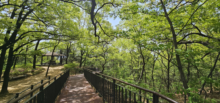 도봉구, 둘리공원 숲길 730m 개통...