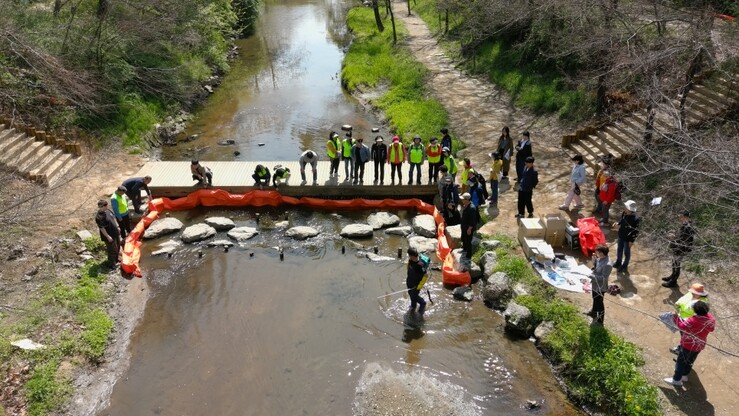 인천시 남동구, 장수천 수질오염사고 ...