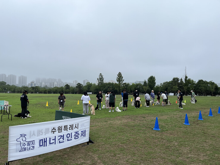 [로컬거버넌스] 경기 수원시, ‘반려동물 친화 도시’ 정책 팔걷어