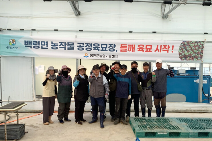 인천시 옹진군, 들깨 재배 전과정 기...